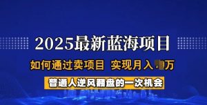 2025蓝海项目，普通人如何通过卖项目，实现月入过W，全过程【揭秘】-拓源