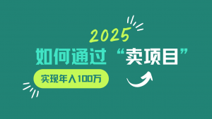 2025年如何通过“卖项目”实现年入100w-拓源