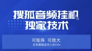 【搜狐音频挂G】独家技术，可矩阵可放大，红利期稳定月入8k【揭秘】-拓源