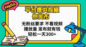 平台提供视频 你发布 无粉丝要求 不看视频播放量 发布就有钱 轻松一天300+-拓源